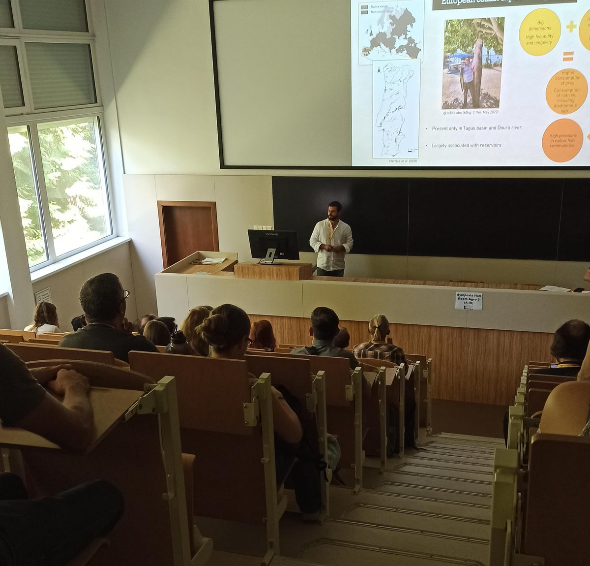 FishInvasionLab's tweet image. A lot of interested folks on #MEGAPREDATOR project that aims to understand European catfish #silurusglanis movement patterns and predation on migratory fish. This new knowledge will be key for #LIFEPREDATOR catfish removal actions. @MARE_centre @CE3CResearch @FC_UL #eci2023