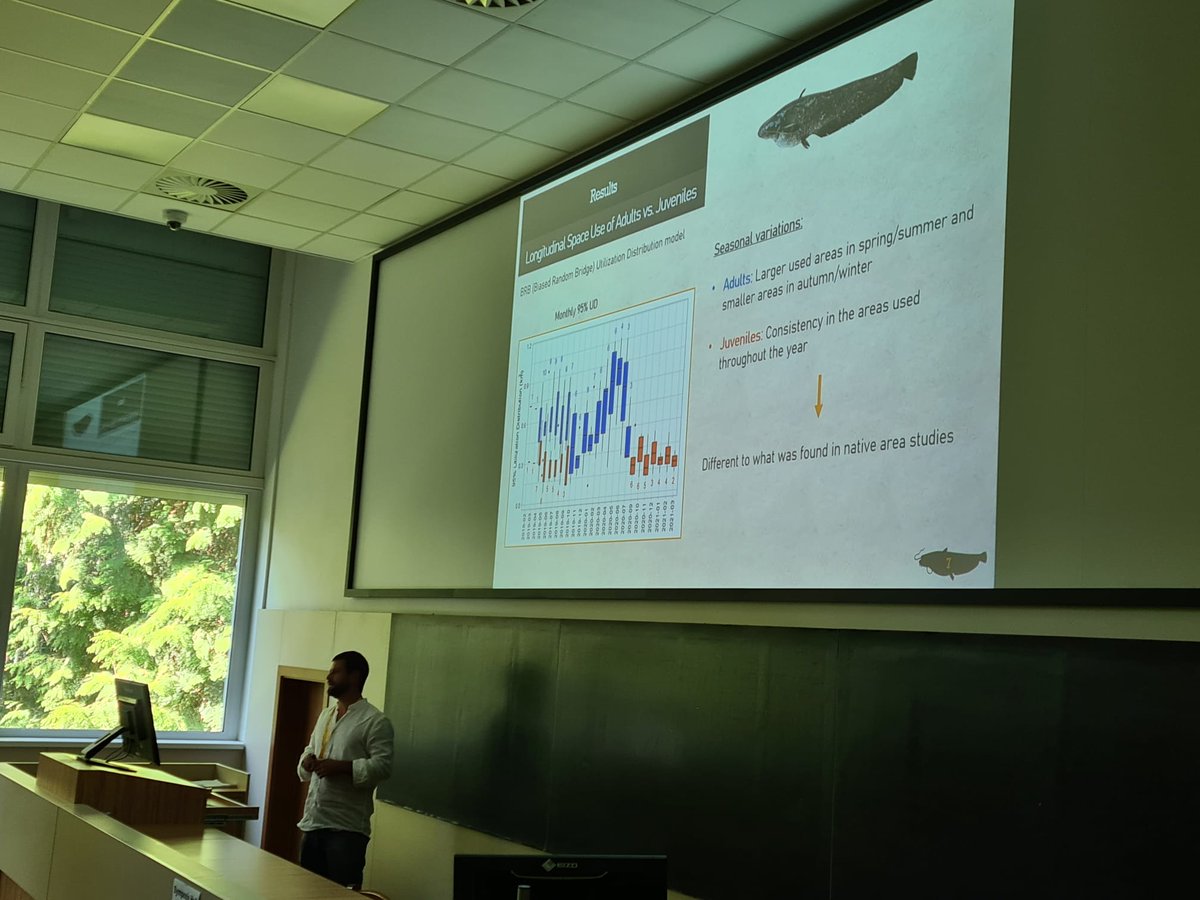 FishInvasionLab's tweet image. A lot of interested folks on #MEGAPREDATOR project that aims to understand European catfish #silurusglanis movement patterns and predation on migratory fish. This new knowledge will be key for #LIFEPREDATOR catfish removal actions. @MARE_centre @CE3CResearch @FC_UL #eci2023