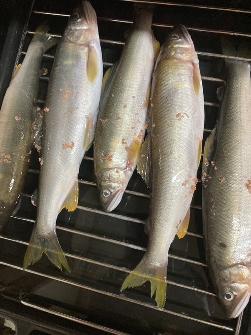 Twitterのコスプレ画像12