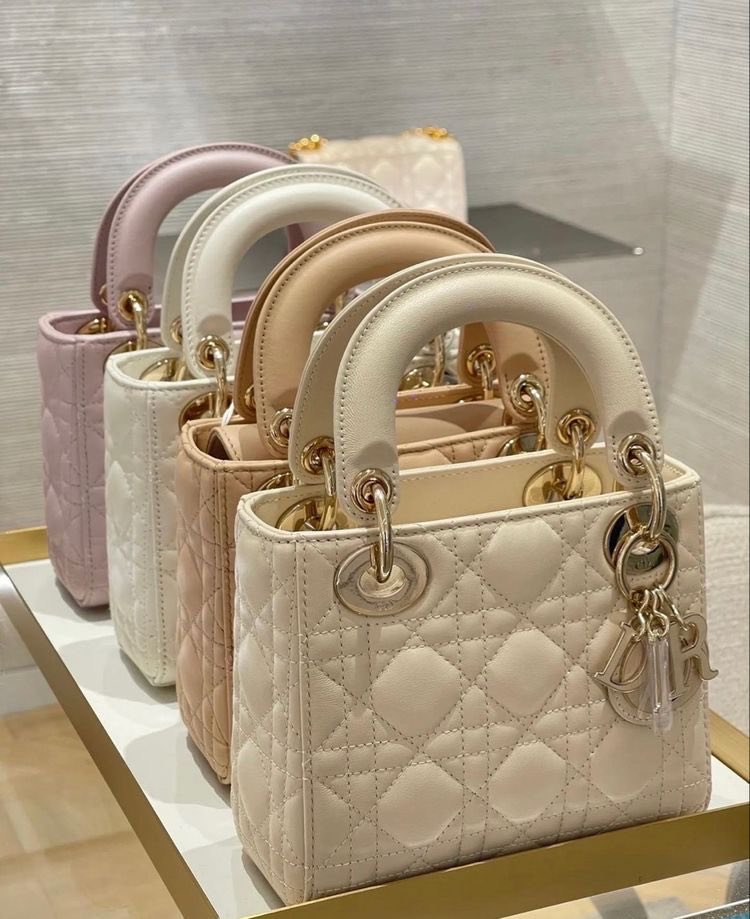 SelectOutfit's tweet photo. dior bags https://t.co/EwVmzczqxE