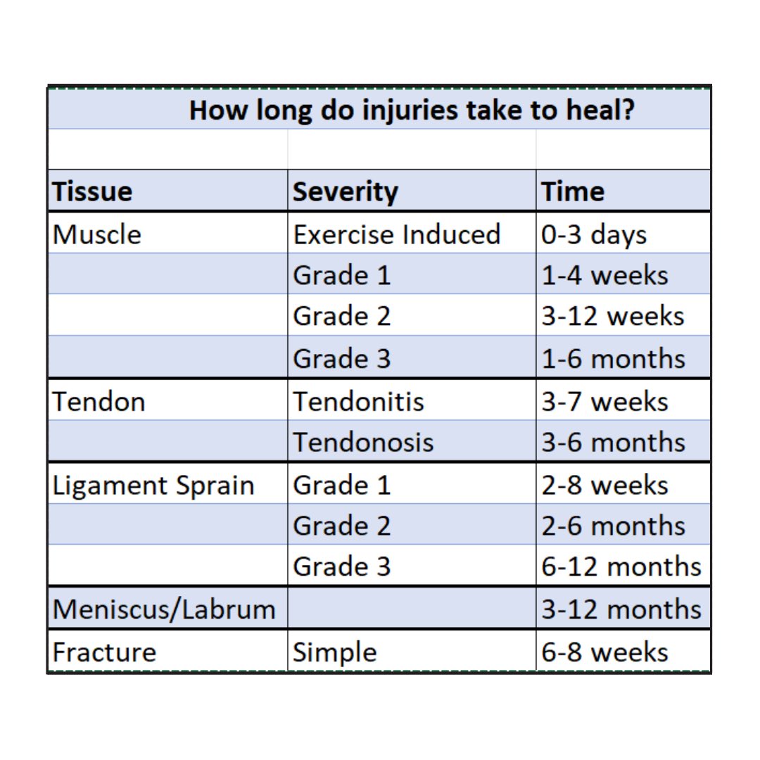 sheffieldphysio tweet media