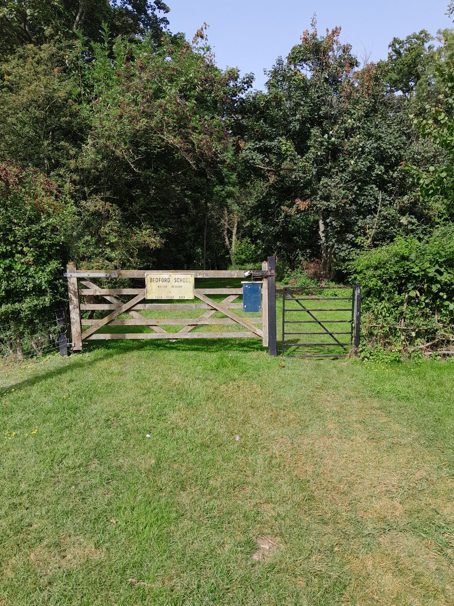 BSIckwell's tweet photo. Ickwell reserve now fully open to education groups. Could we be the gateway to your next investigation.
Do contact us to discuss https://t.co/5ng9HHw11I