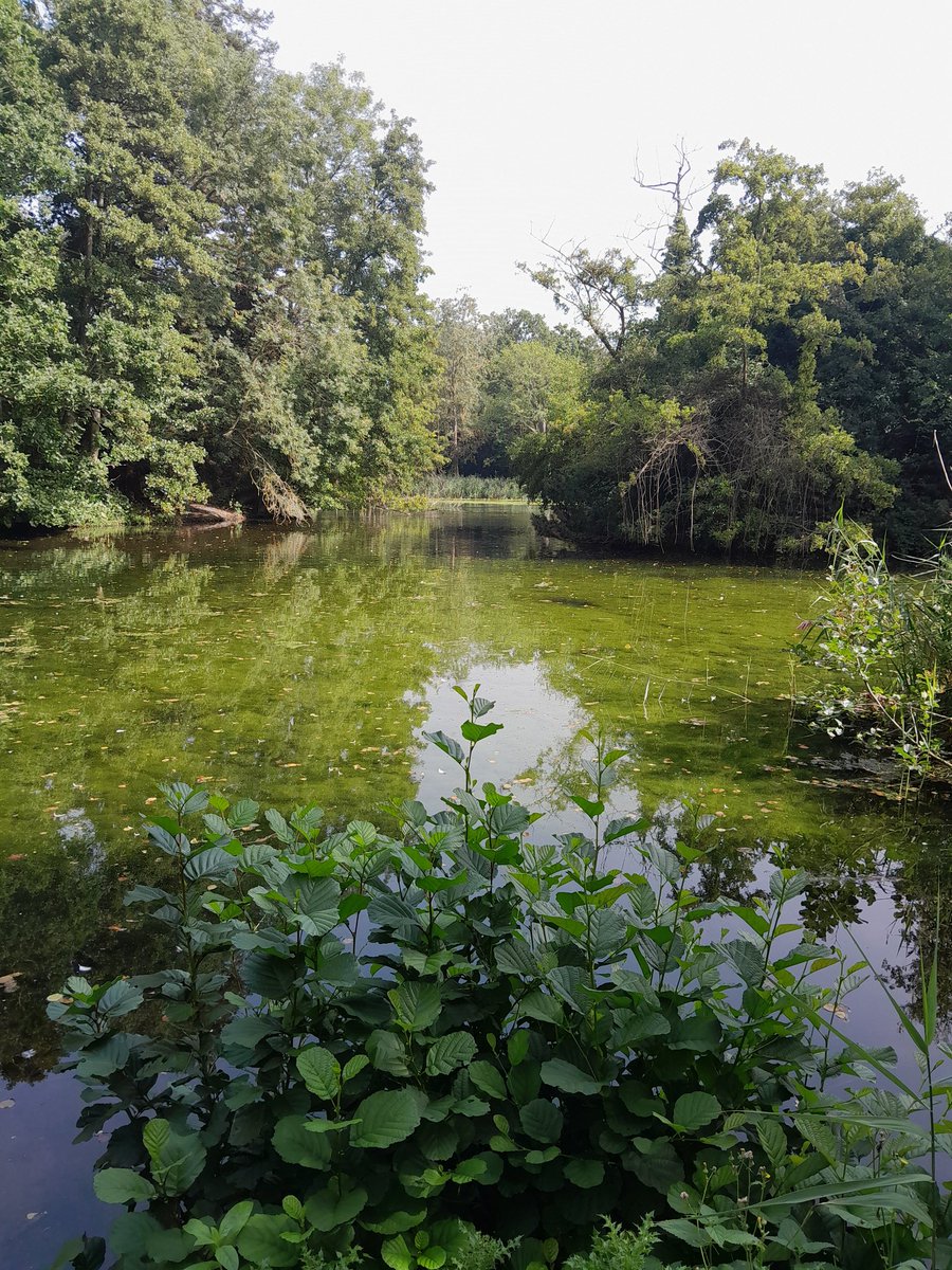 Ickwell reserve now fully open to education groups. Could we be the gateway to your next investigation.
Do contact us to discuss