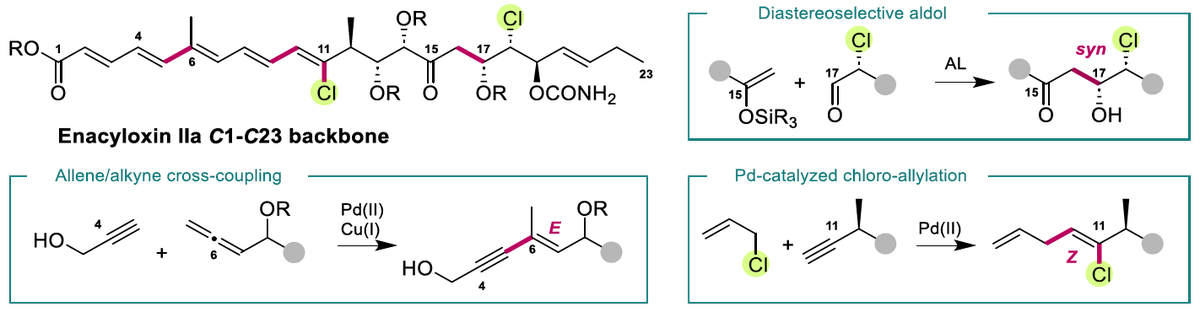 EA_Roulland's tweet photo. Happy to share this article. The exotic skeleton of Enacyloxin IIa has been successfully synthesized. Congratulations to Orane for this outstanding achievement! https://t.co/kmhn1e7529 @INC_CNRS @univ_paris_cite @TotalSynthesis @JOC_OL https://t.co/SlRnfe8iS3