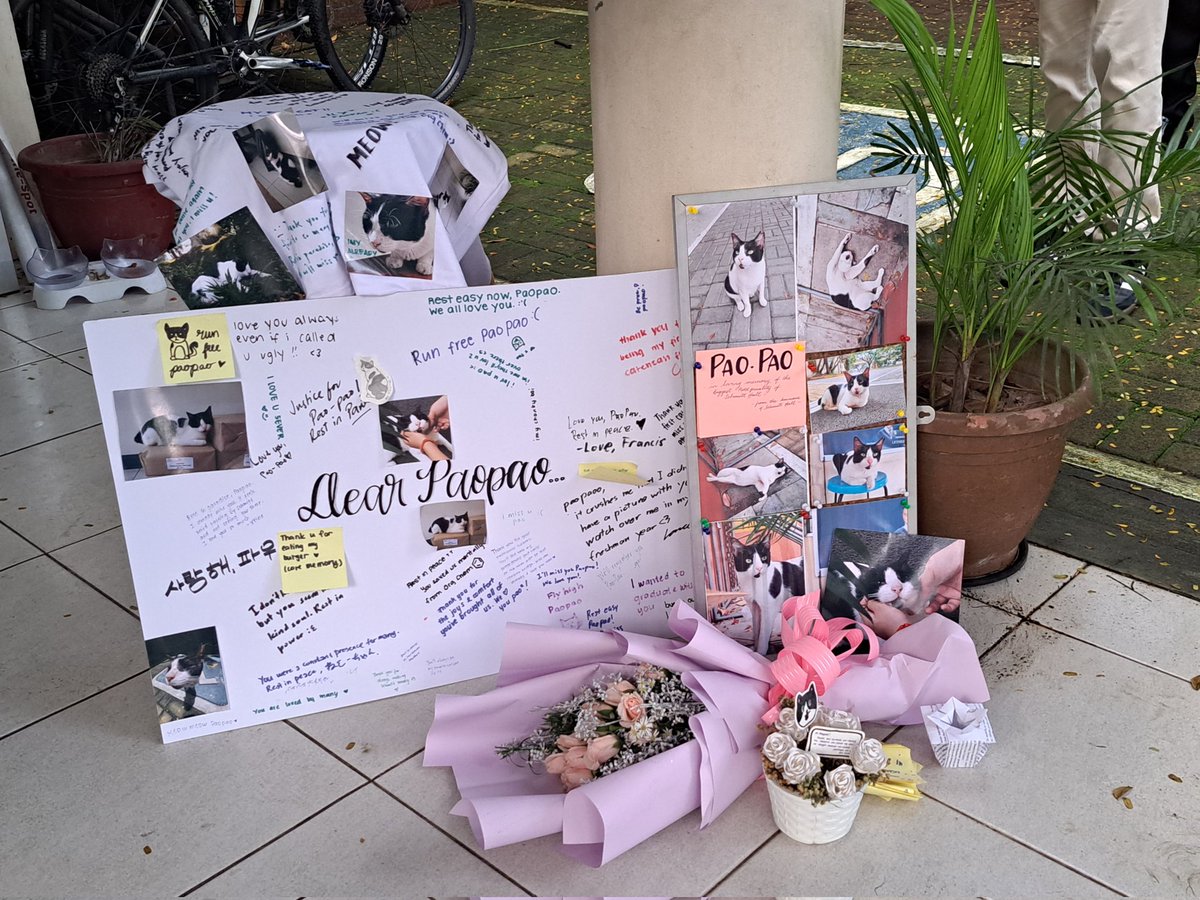 OurPao's tweet photo. He is well loved. Rest in paw-er. https://t.co/tqKprz9tfm