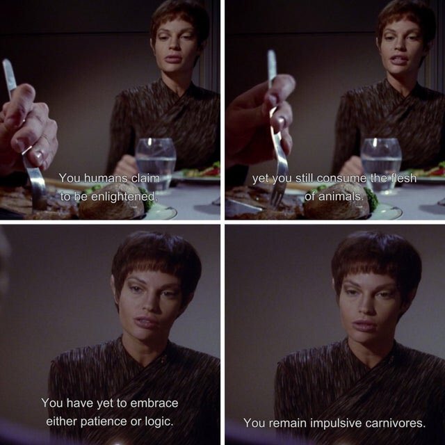 herbivore_club's tweet photo. The future is vegan. #startrekday https://t.co/Yv8J8NY1NA