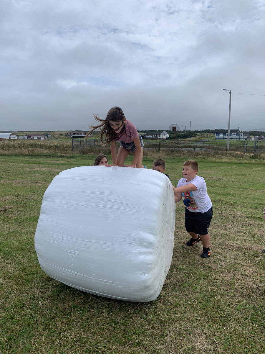 JaneWilliams77's tweet photo. When it’s to hot to stay inside we take learning outside. Added bonus is extra time to play. 
Yes they are hay bails! 😊
#ruralnewfoundlandrocks 
#learningisfun
#takemeoutside https://t.co/NwDNOnbxk5