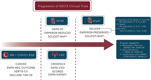 SeguraCardio's tweet photo. 📌Mechanisms of benefits of #SGLT2i in #HeartFailure with preserved ejection fraction

#cardiotwitter #cardioEd #Review #SGLT2 #HFpEF https://t.co/dt2qH0JF4e