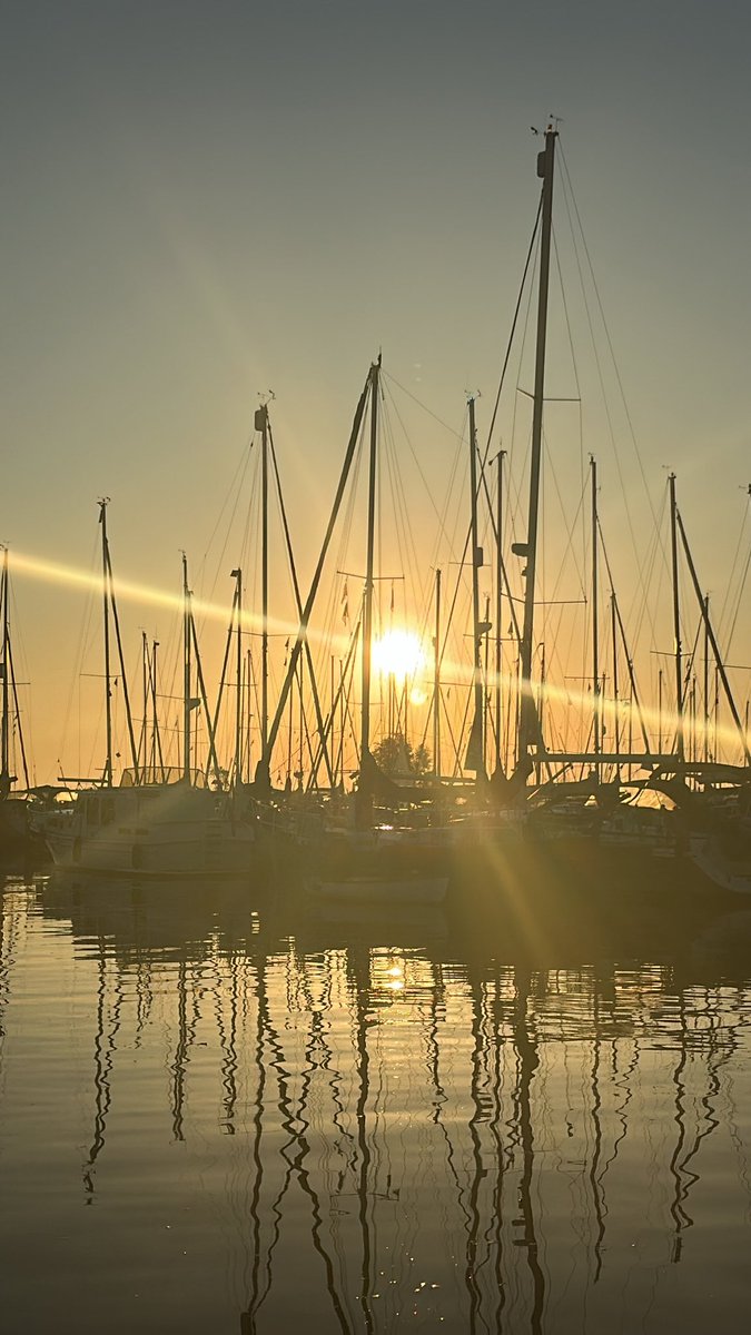 Hester Ozinga tweet media