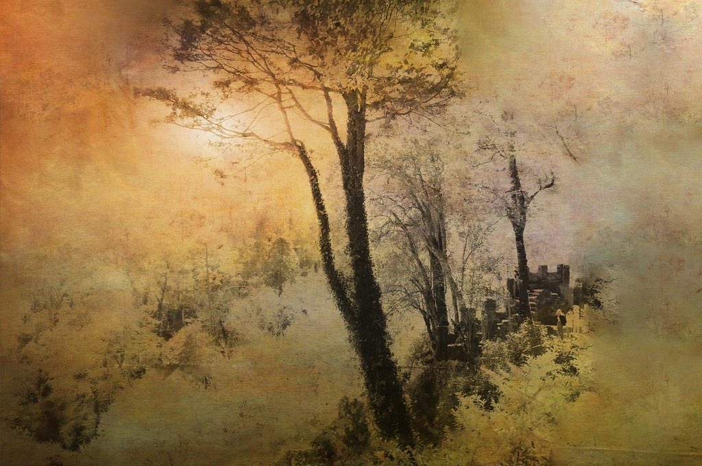 samanthacavet's tweet photo. My photography inspired by Japanese art https://t.co/pX044dKeHg