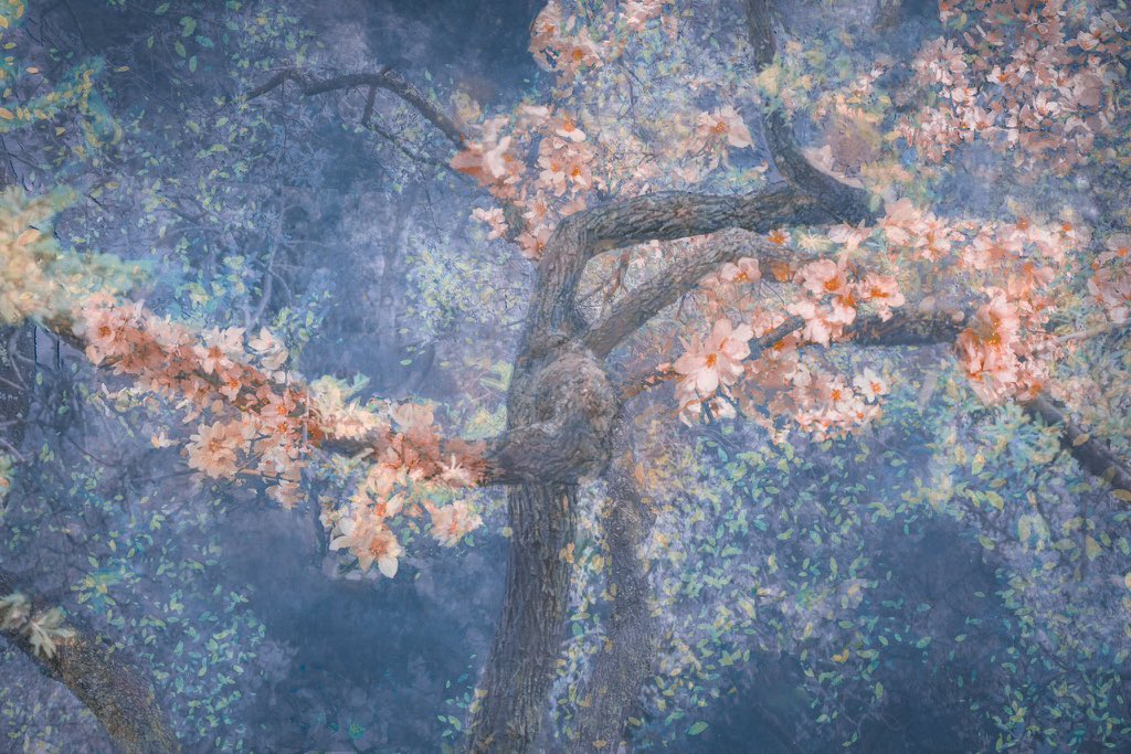 samanthacavet's tweet photo. My photography inspired by Japanese art https://t.co/pX044dKeHg