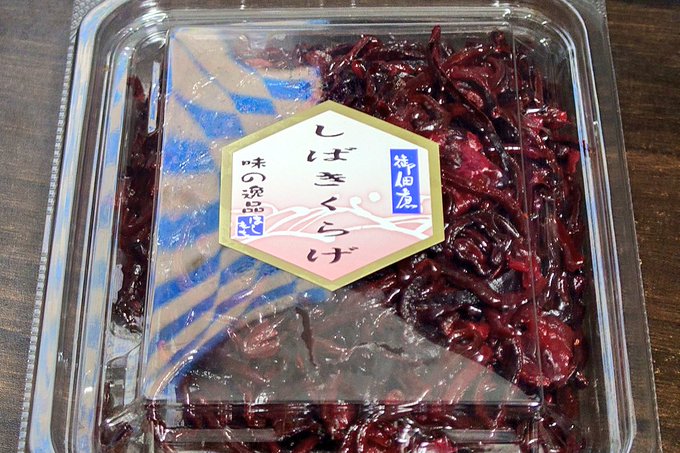 しばくクラゲなのか、しばかれたクラゲなのか 