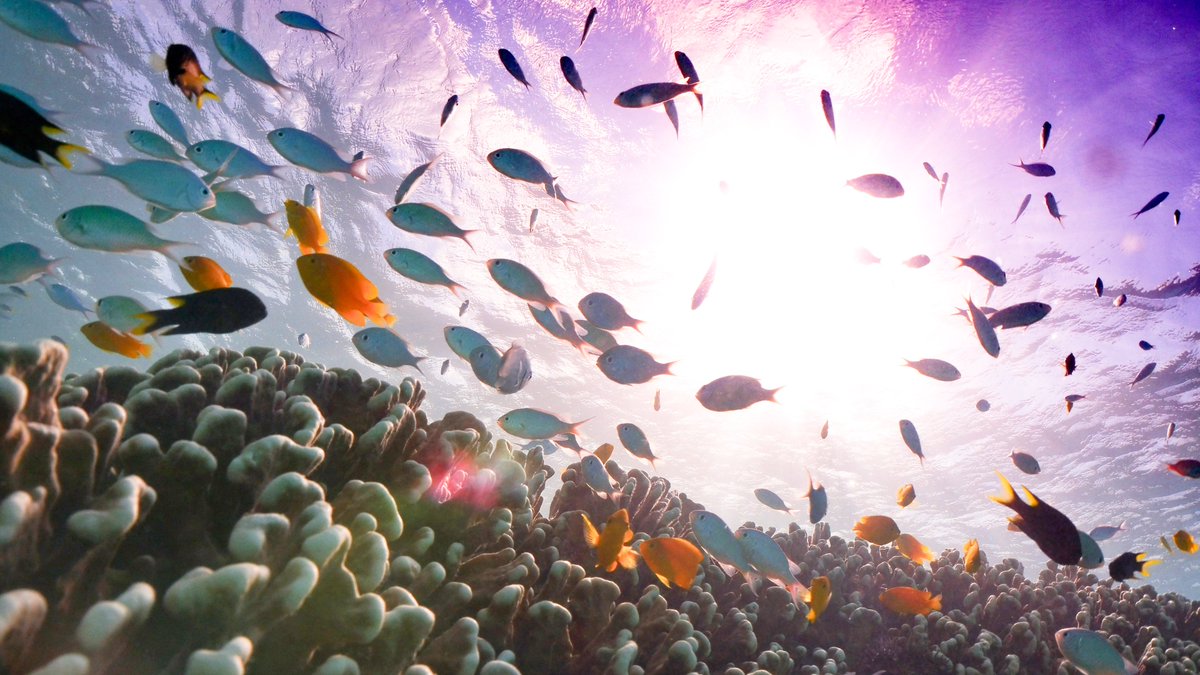 Lancaster University tweet media