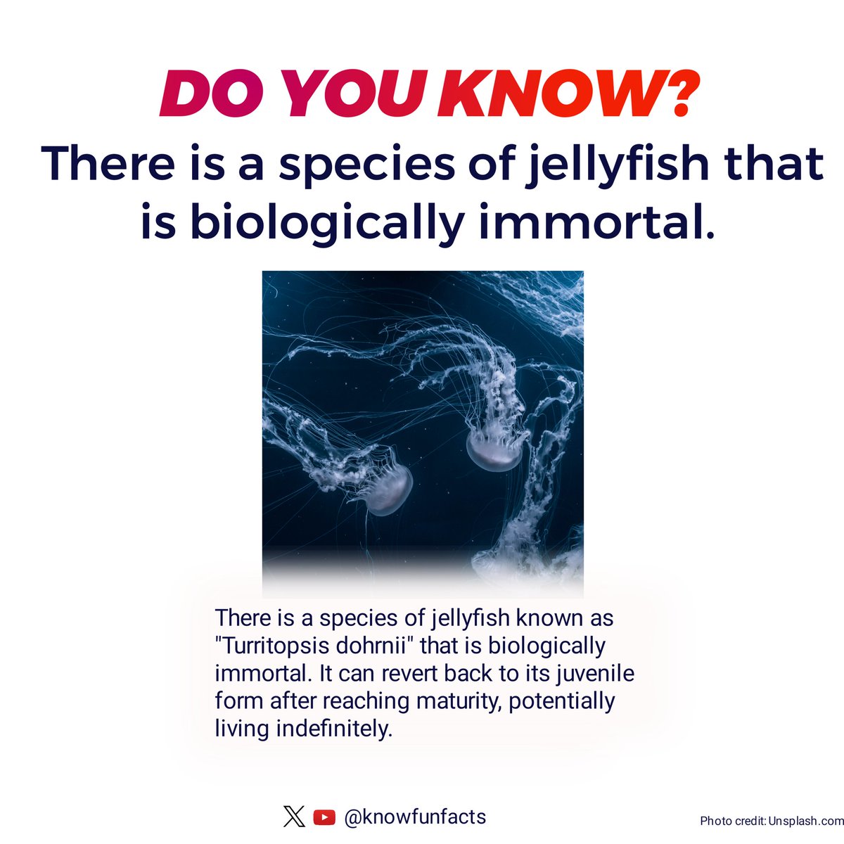 knowfunfacts's tweet photo. #Doyouknow #Knowfunfacts https://t.co/UDW5LrTvUv