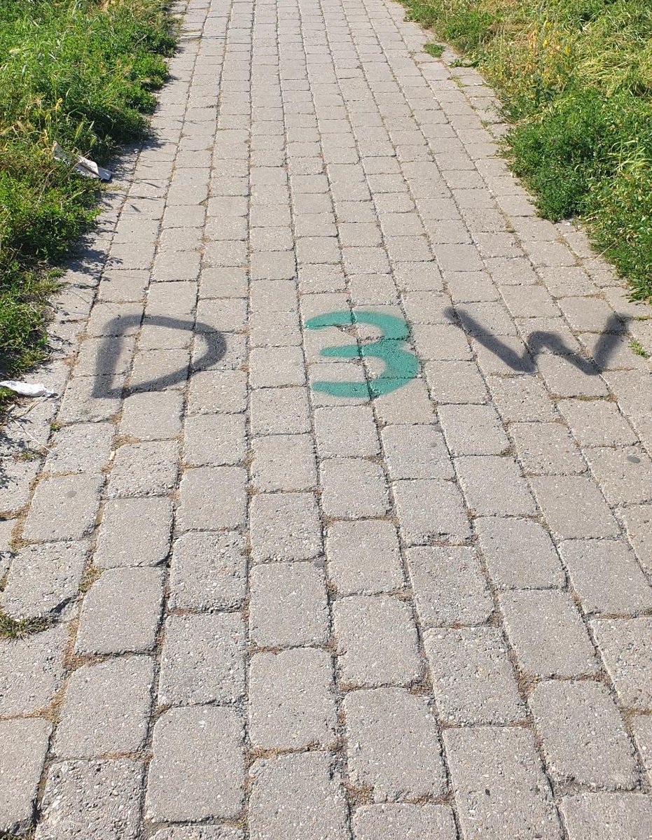 RegisterMaHe's tweet photo. Wir machen uns startklar fürs "Cotti für alle"! 16 Uhr geht es in der Carola-Neher-Straße los.

Dass es wichtig ist, sich in der Region um den Cotti gegen rechts zu positionieren, zeigen die Schmierereien vom "III. Weg", die heute morgen am Veranstaltungsort entdeckt worden. https://t.co/hW1SUfkBE3