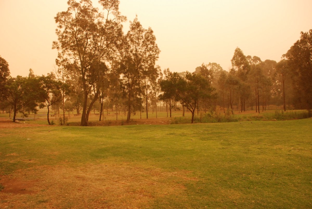 GSCC_College's tweet photo. ⚡️Friday Flashback - Celebrating 25 years of Journeying with Compassion: The sky turned 'red' when an unforgettable dust storm engulfed Sydney back in September 2009. The phenomenon was caused by soil and dirt that was swept by high winds from inland Australia. https://t.co/M5LtzR8f6u