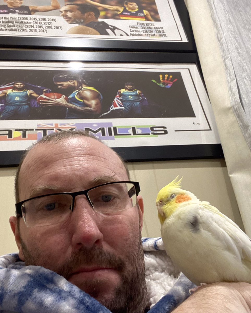 HandNathan42703's tweet photo. The bird has fallen asleep already 
Great support he is #GoBlues https://t.co/IIAuGwYrcm