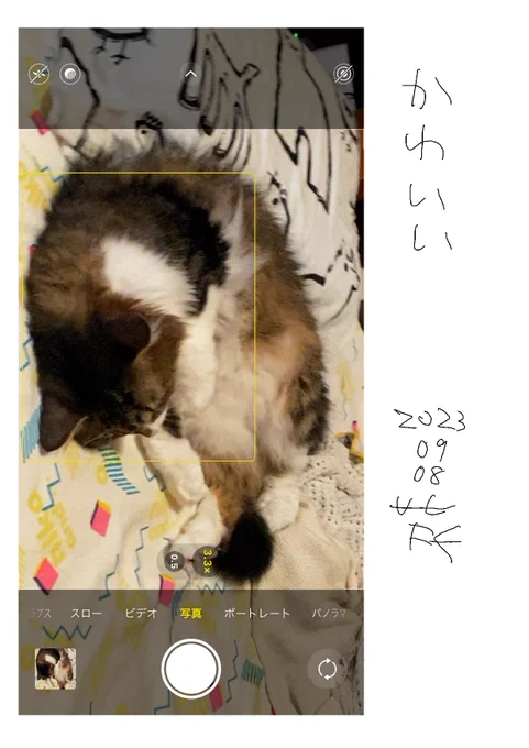 #day16 #uchi_fuck 
