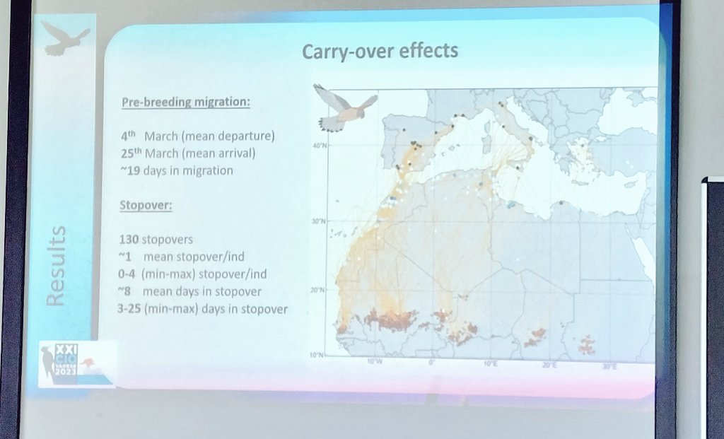 @lifefalkon tweet media