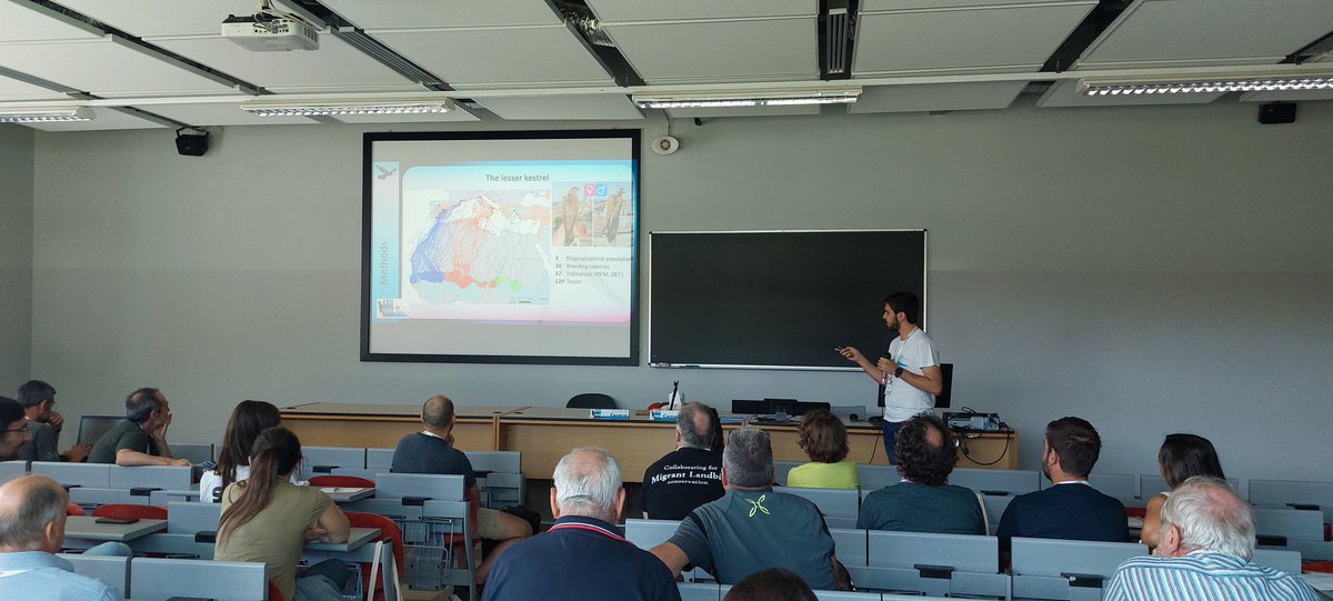 @lifefalkon tweet media