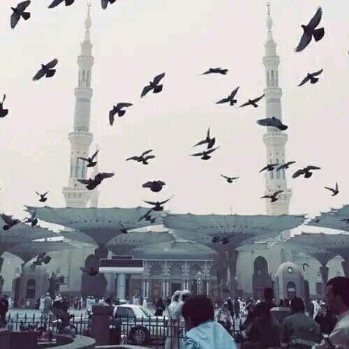 Balaghl's tweet photo. كان الرسول ﷺ إن ضاقت دنياه يردّد:

"يا حيّ يا قيّوم برحمتك أستغيث، أصلح لي شأني كلّه ولا تكلني إلى نفسي طرفة عينْ."♥ https://t.co/PReFH3tWxX