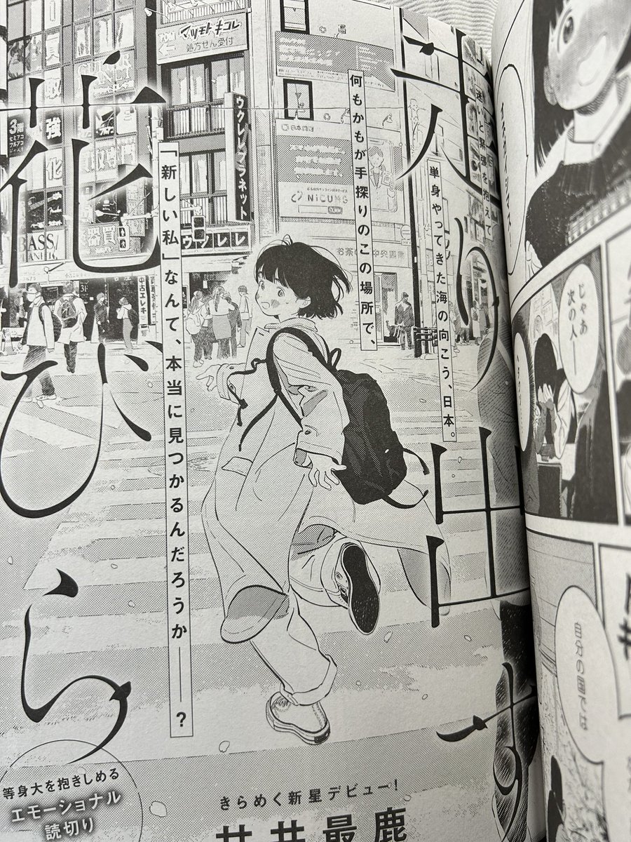 今日発売のフィーヤン。
高野ひと深さんのカラーは80年代のカラートーンっぽさがあって素敵❤️川端志季さんの「木漏れ日のひと」は、明るいだけではないストーリーに差す一条の光…ホッとするけど…🥲そして甘井最鹿さんの読切「走り出す花びら」は、猛烈に続きが読みたい(読切だけど)etc.
充実の一冊