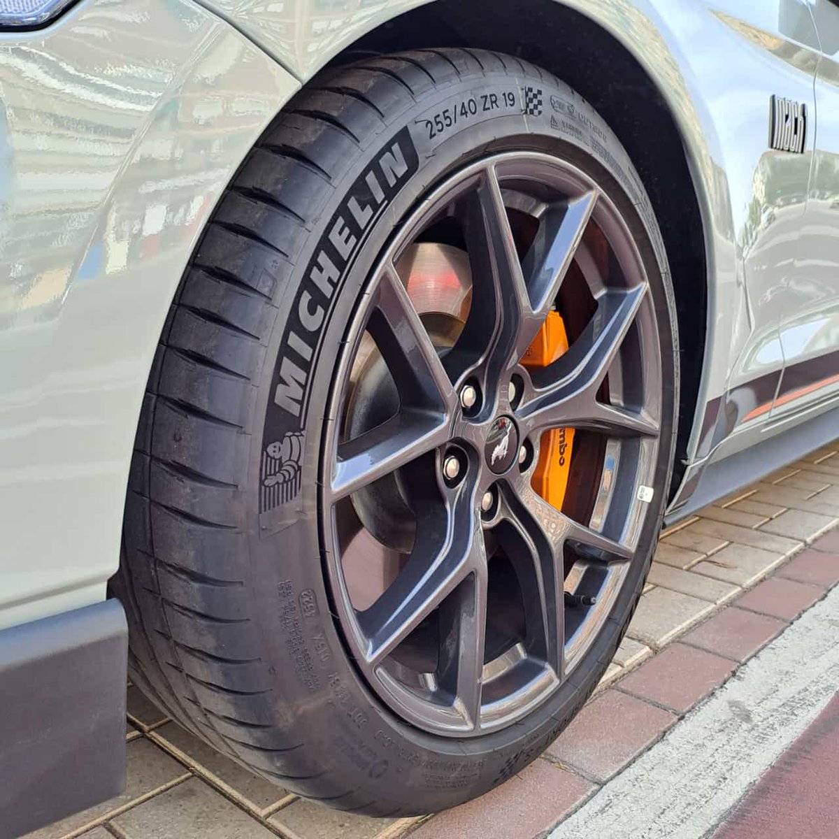 Despierta la bestia: el Ford Mustang Mach 1 🐎💨. Potencia pura, diseño legendario y una experiencia de conducción que te dejará sin aliento. ¿Qué os parece? 🚀 
#Ford #MustangMach1 #FordMustang #PotenciaPura