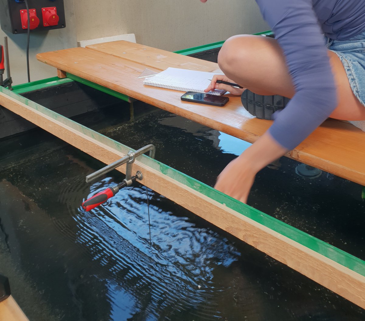 #flumefriday ... is the divergence of flow around a pier a prerequisite of infinite attachement of wood elements / jamming? Tests with a tiny pier indicate that yes. But it's not the only one ;)