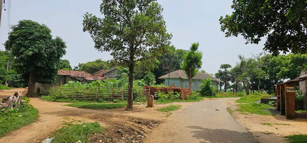 गांव का मनोरम दृश्य||आदिवासी एकता||