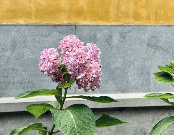 so long as one keeps calm, one doesn't feel the heat too much.
<a href="/tipcoineth/">tipcoin</a> $tip