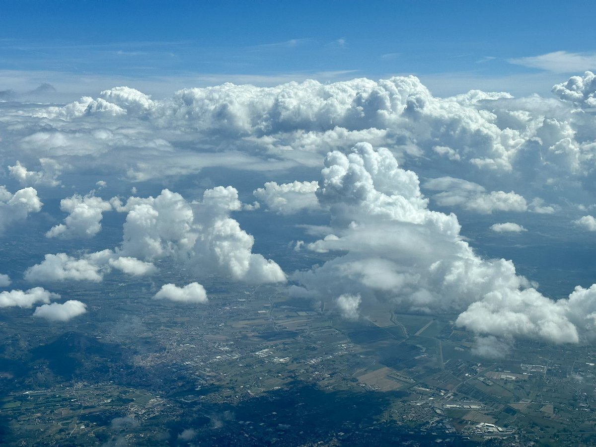 ıuɐpɹoıƃ sɐloɔıu tweet media