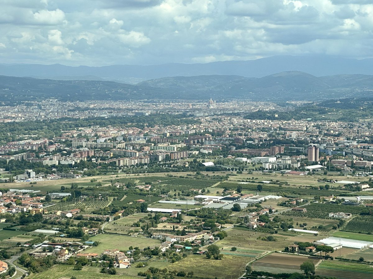 ıuɐpɹoıƃ sɐloɔıu tweet media