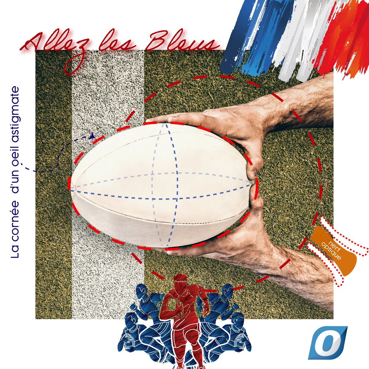 Ophtalmic Compagnie tweet media