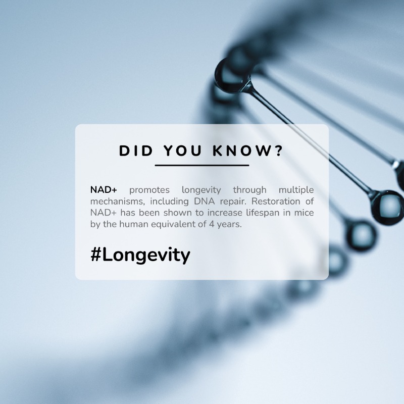 By understanding and leveraging the power of NAD+, we are unlocking new frontiers in human longevity and well-being.

#NMNLongevity #DNARepair #AntiAgingPotential #LongevityResearch