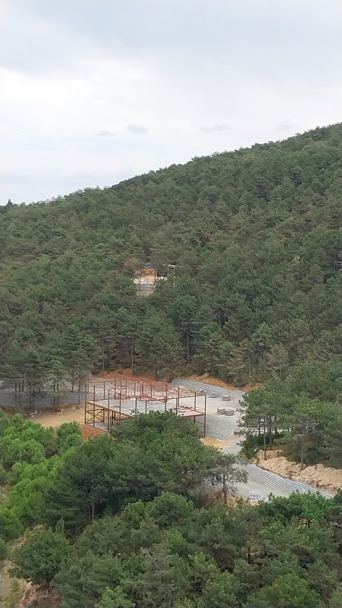 Bu sabah yine kepçe saat 08:00 de ormanın tepesine girip alan açmaya başladı. Sinsi ve sessiz bir şekilde ormandaki agaçları kesip katlediyorlar. Bu ormanlar giderse bizlerin de nefesi kesilir. Katliama ortak olmayın! Ormanlar ranta açılamaz! #maltepeormankatliamı