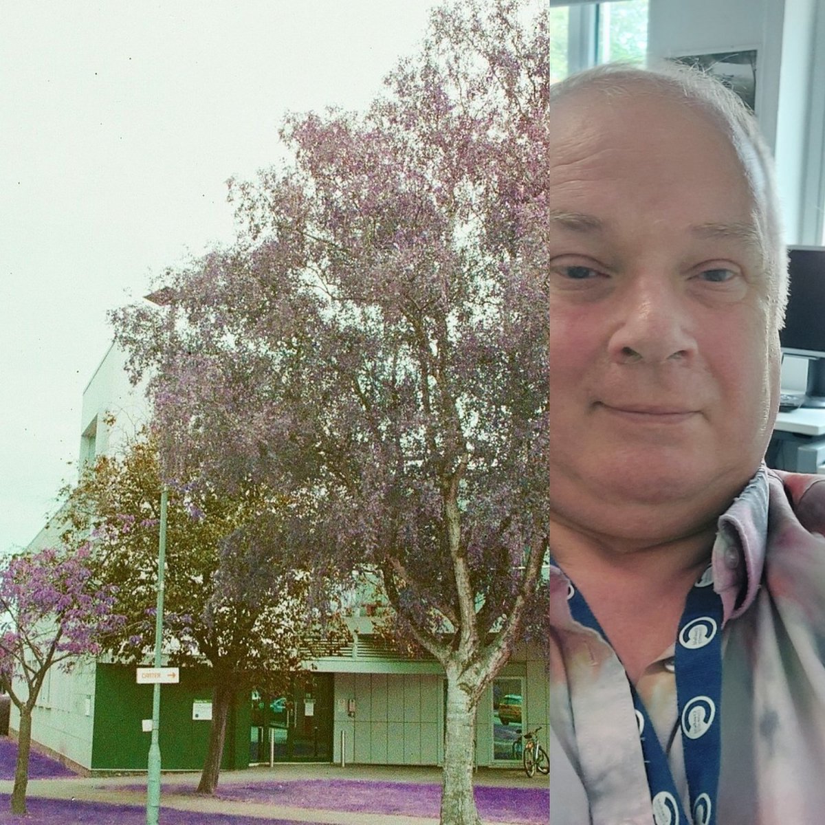 SandarsDTM's tweet image. My new office building at work. Building 146. The exterior is shot with 35mm Lomochrome Purple #workingenvironment #35mmfilm