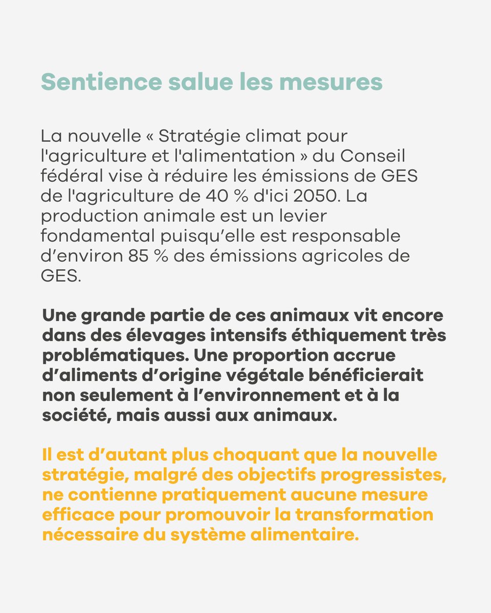 Compte tenu des problèmes environnementaux endémiques et des conditions de vie non durables des animaux, ce plan est bien trop peu ambitieux.⁠

Aidez-nous à faire entendre les intérêts des animaux non-humains dans la politique suisse en faisant un don 🐷 sentience.ch/fr/dons