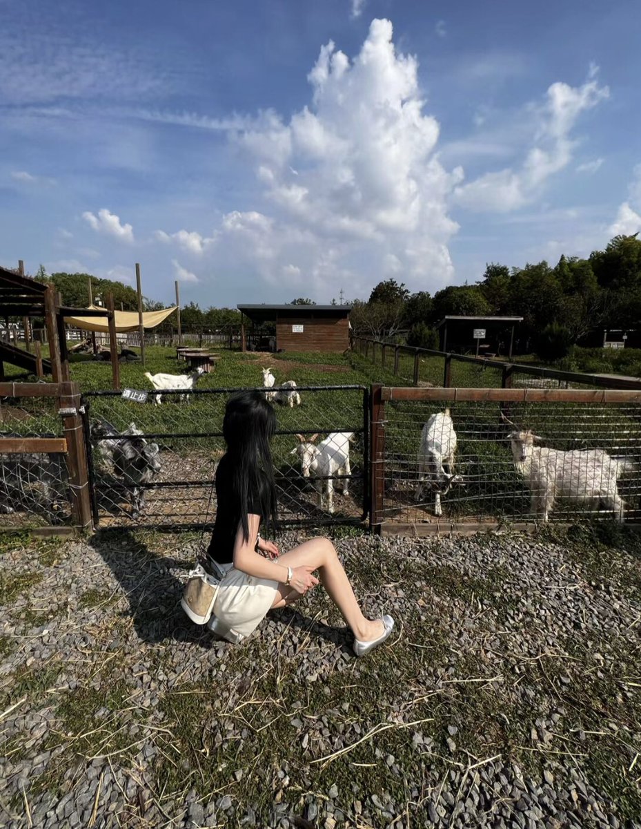 xinxi7092's tweet photo. 看看小动物们🐮🐏🦆 #山西 #太原 #户外活动 #临汾 #穿搭 #大同 #风景 #长治 #同城交友 https://t.co/MUbcdBRS6u
