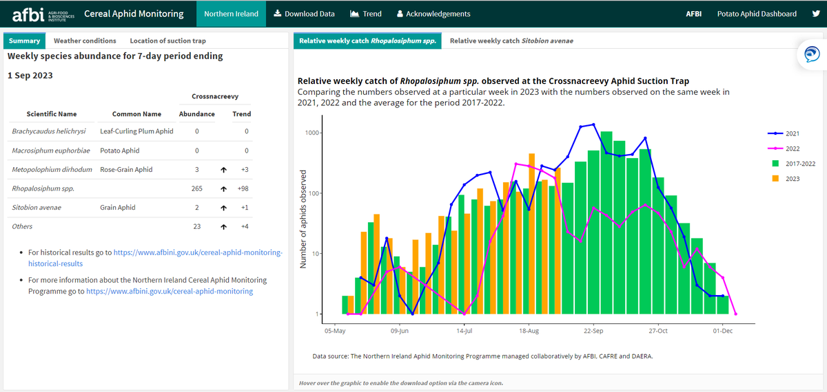 Aphid Monitoring in Northern Ireland tweet media
