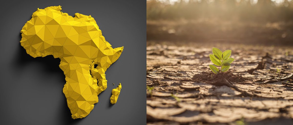 With just a few weeks to go to #COP28, where the first #GlobalStocktake will provide an opportunity to assess the progress of international #ClimateAction, the #AfricaClimateWeek is of major political significance for the African continent.🧵👇