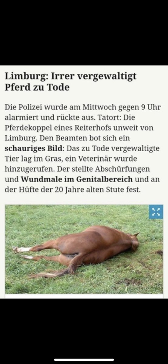 herr knax (satire) tweet media