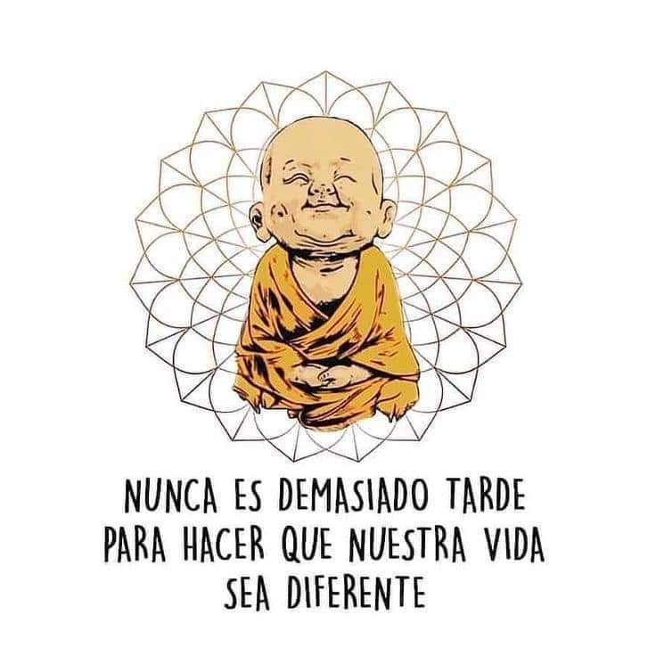 Cada día es una nueva oportunidad para cambiar y crecer, hacia nuevos horizontes.
🫶💛🫶💛🫶