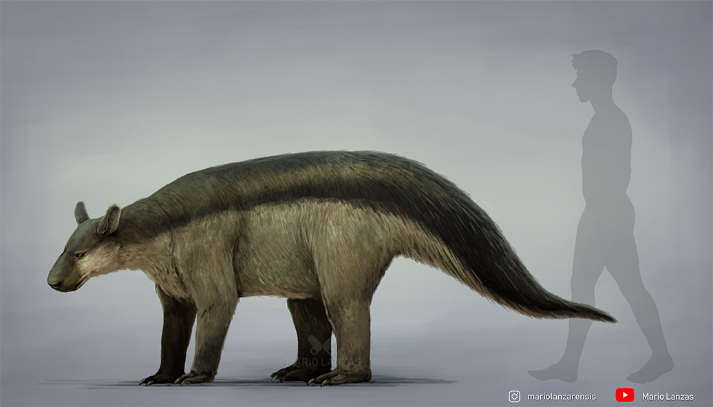 mariolanzas5's tweet photo. BARYLAMBDA. from my latest video (https://t.co/xjmzm9eqCR) dedicated to the Paleogene Period. It was one the largest mammals of the early Paleogene and its lineage is unclear. #barylambda #paleoart #naturalhistory https://t.co/tP6lmLLdMY