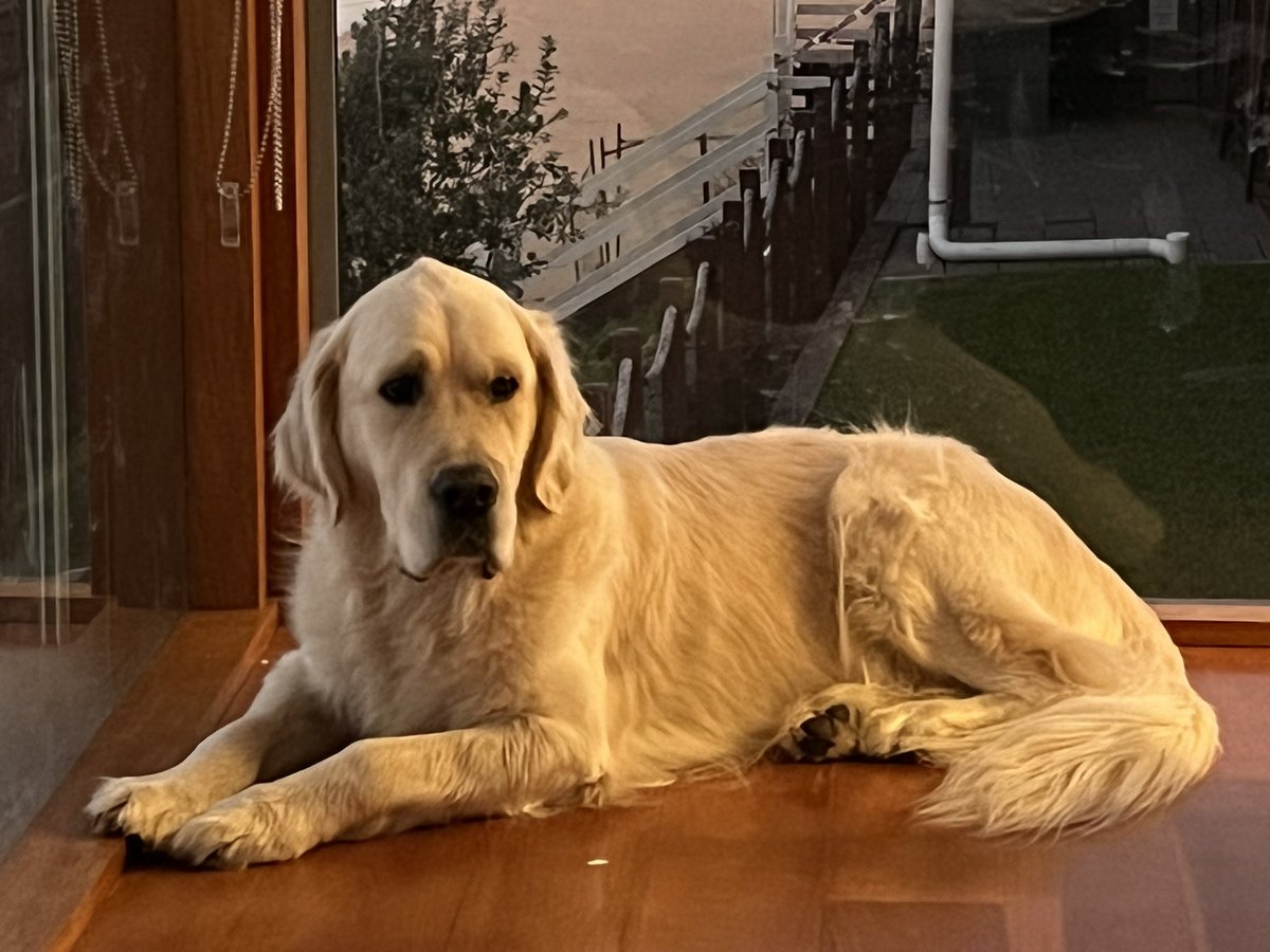 John Croll tweet media