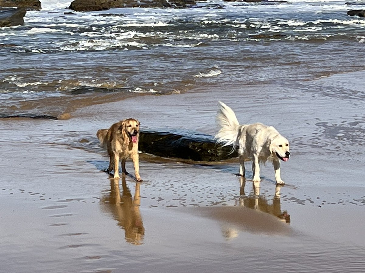 John Croll tweet media