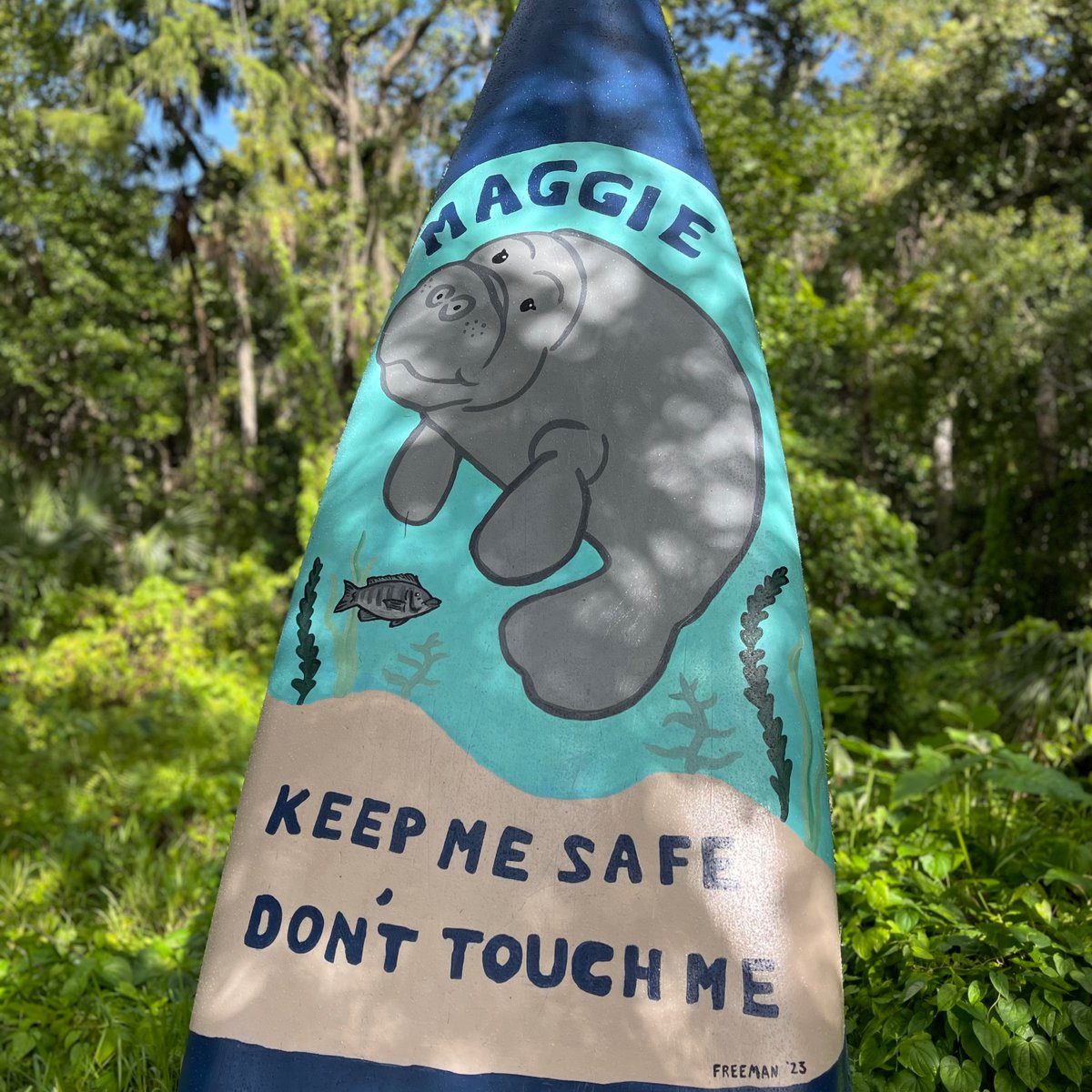 WeekiAdventures's tweet photo. Check out Maggie the next time you visit! 🎉🛶☀️ #weekiwachee #weekiwacheesprings #weekiwacheemermaids #weekiwacheeriver #weekiwacheespringsstatepark #weekiwacheestatepark #weekiwacheeflorida #weekiwacheepreserve #weekiwacheespring #weekiwacheefl #weeki #kayak #kayaklife #kayaks https://t.co/FwInDvp6d1