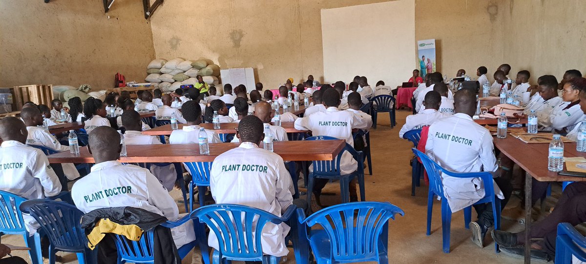 100 youths passed out as Plant Doctors following a training and an exam. New youthful professional entrants into the Agricultural value chain today! Thanks <a href="/CABI_News/">CABI</a> <a href="/MAAIF_Uganda/">MAAIF 🇺🇬</a> <a href="/Makerere/">Makerere University</a> <a href="/Agriterra/">Agriterra</a> <a href="/CoRubanga/">Rubanga Co-operative Society Ltd</a> <a href="/RubangaCoffee/">Rubanga Coffee</a> @AgriterraUG