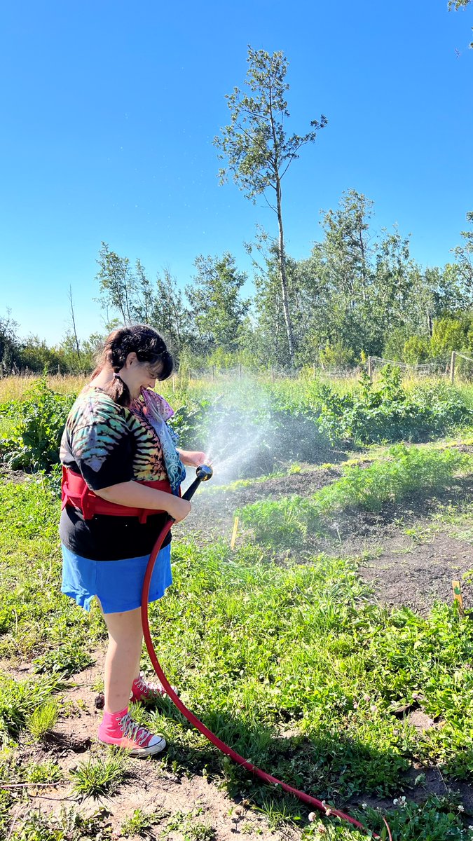 Please share********
As the season comes to a close we are looking :
-for someone with a bobcat to level some land for us.
- Have fence posts removed from ground  (you remove them you get to keep them, there's 40 wooden ones)
Please contact us if interested #agriculture