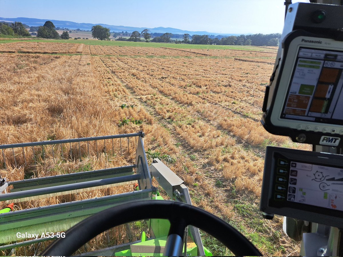 dekmatthew's tweet photo. Finally a run of good weather allowing 5 consecutive harvesting days @JamesHuttonInst.
Harvested four different trials totalling 4000 plots with the #Wintersteiger Quantum plot combine https://t.co/rTTQoMjhKJ