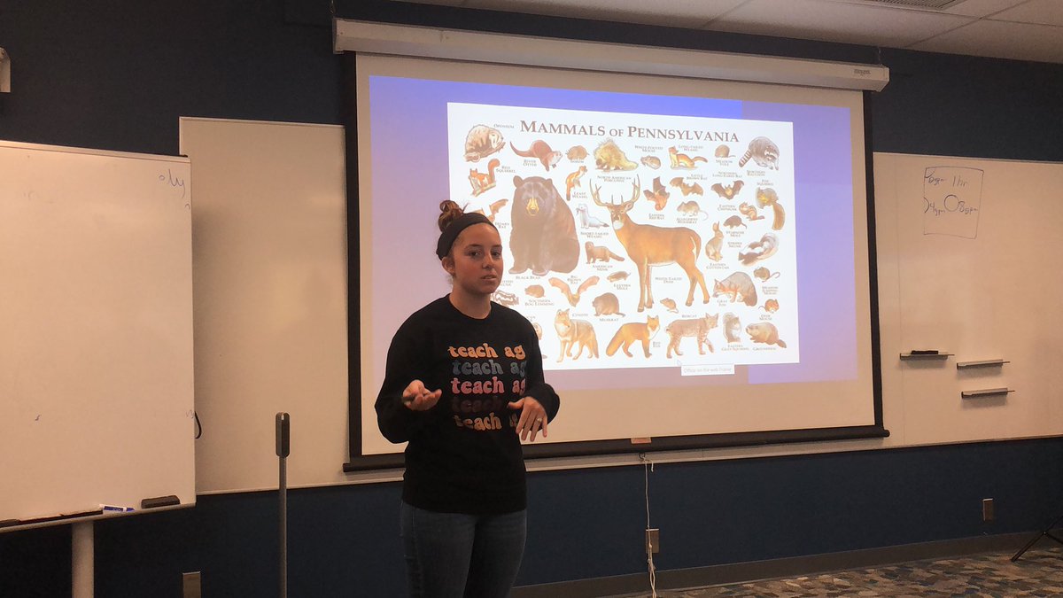 Noah Phillips tweet media